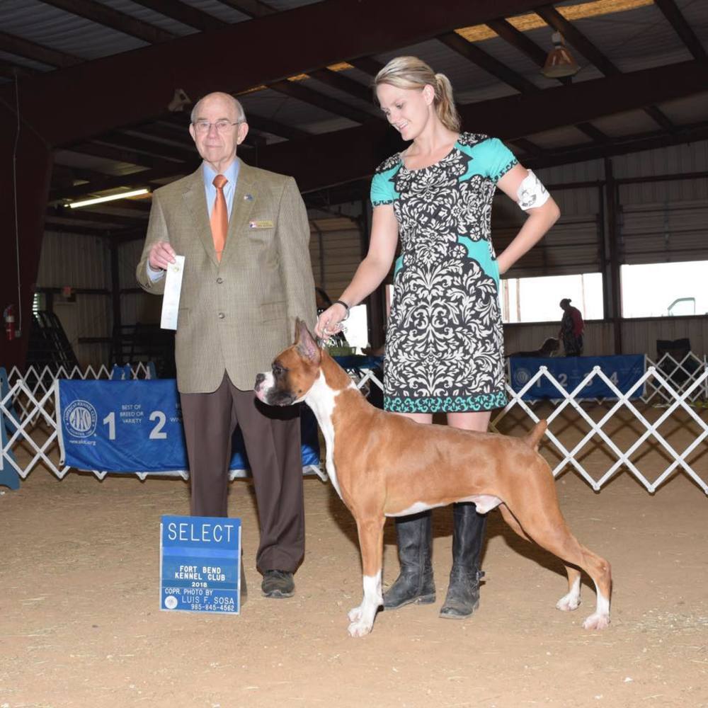 Meet your Posher, Ashley